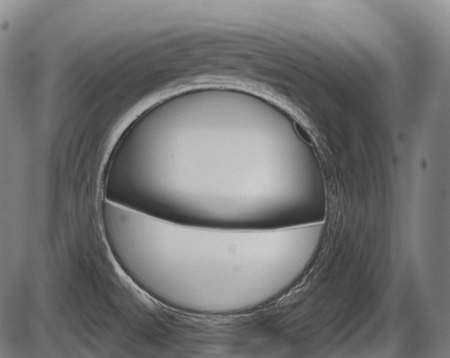 X0000086321527200703300852