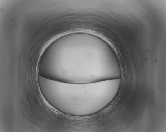 X0000086321535200703300852