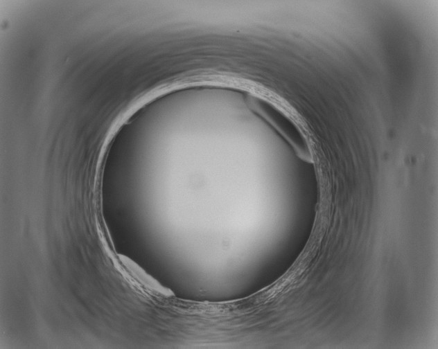 X0000086321536200703300852