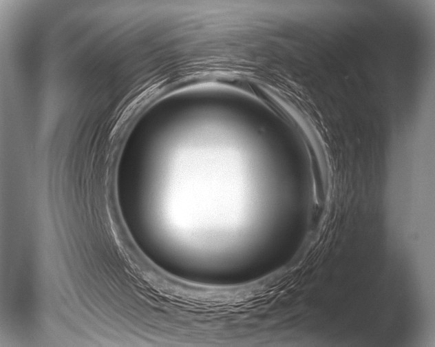 X0000086320001200703301230