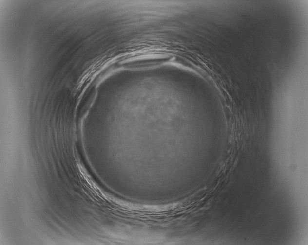 X0000086320002200703301230