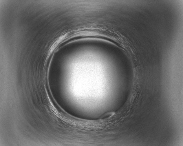 X0000086320003200703301230