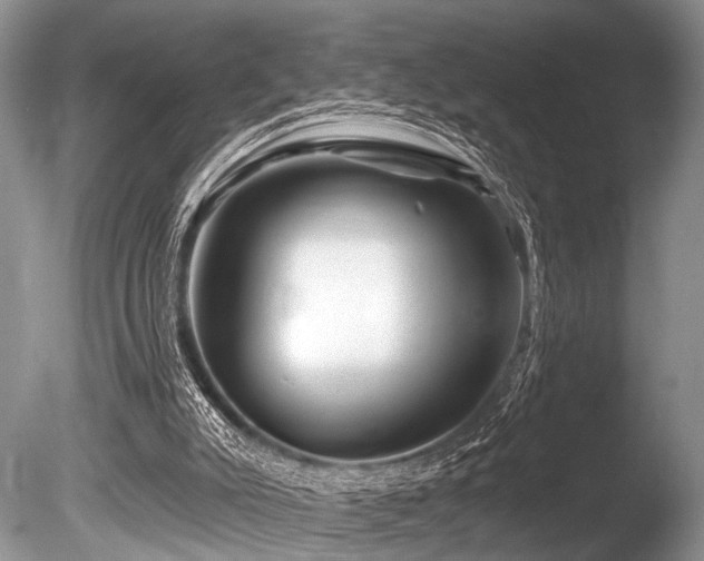 X0000086320007200703301230