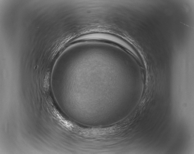 X0000086320009200703301230