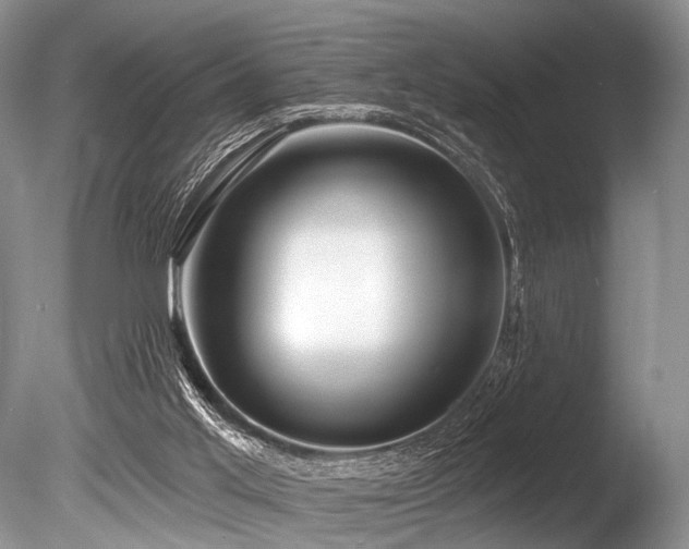 X0000086320013200703301230