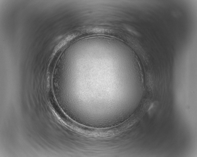 X0000086320016200703301230