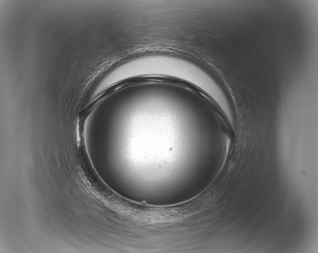 X0000086320020200703301230