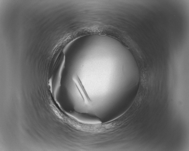 X0000086320023200703301230