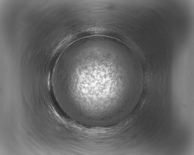 X0000086320024200703301230