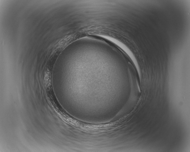 X0000086320029200703301230
