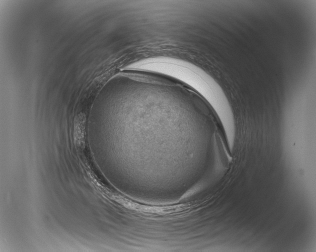 X0000086320030200703301230