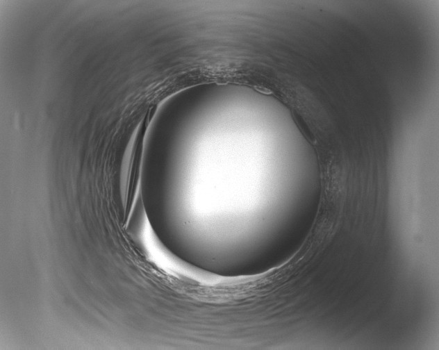 X0000086320033200703301230