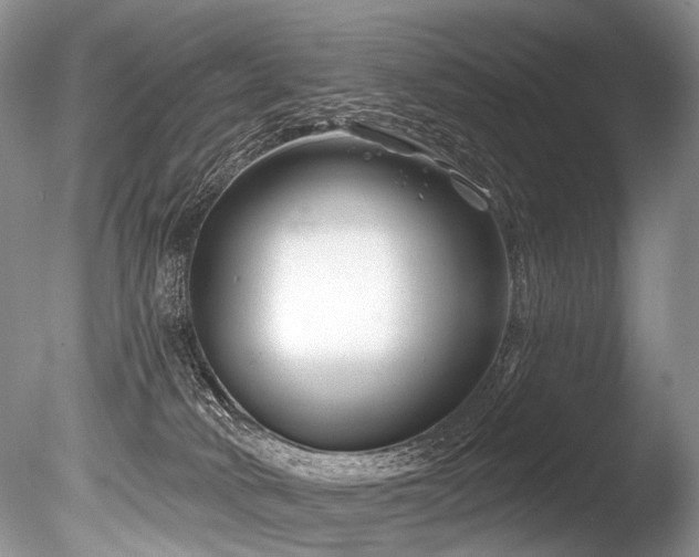 X0000086320034200703301229