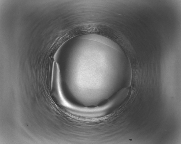 X0000086320035200703301229