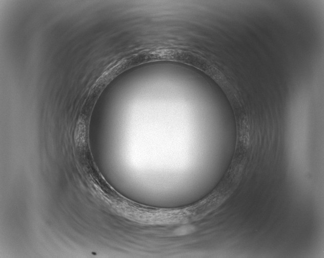 X0000086320036200703301229
