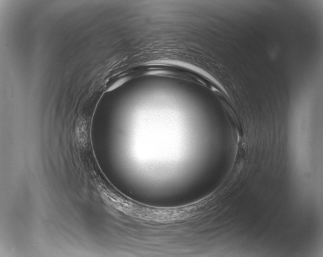 X0000086320037200703301229