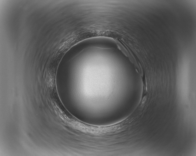 X0000086320039200703301229
