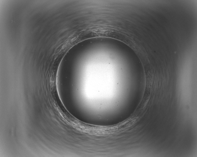 X0000086320040200703301229