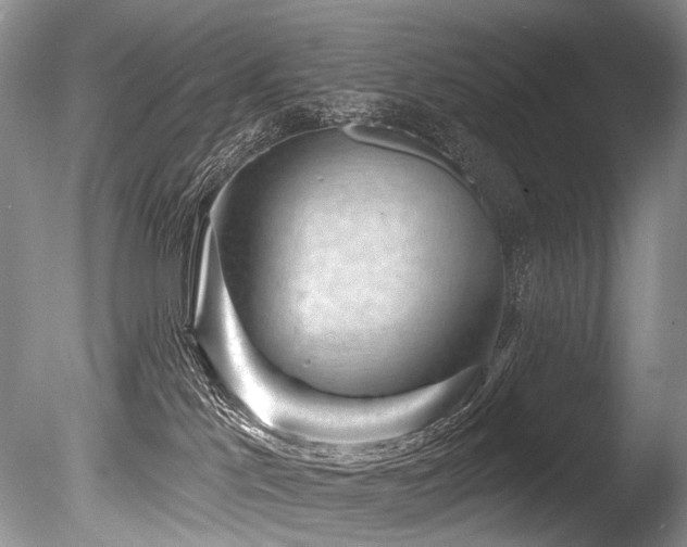 X0000086320041200703301229