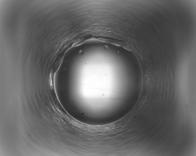 X0000086320042200703301229