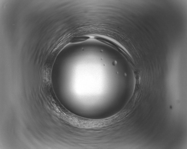 X0000086320044200703301229