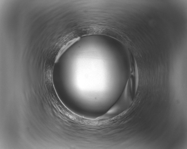 X0000086320045200703301229