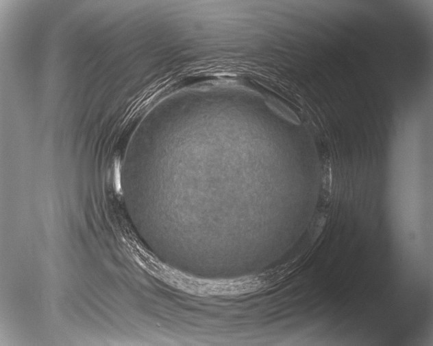 X0000086320046200703301229