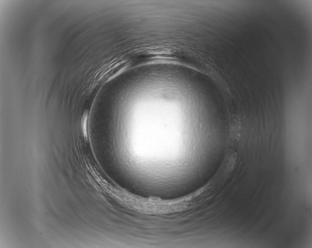 X0000086320047200703301229
