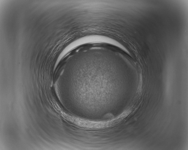 X0000086320048200703301229