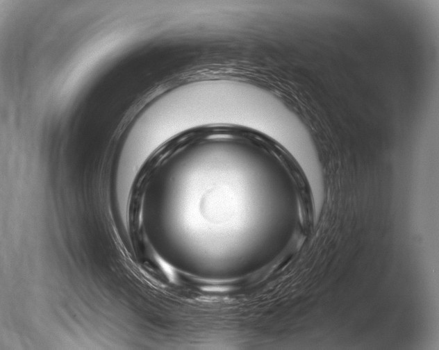 X0000086320052200703301228