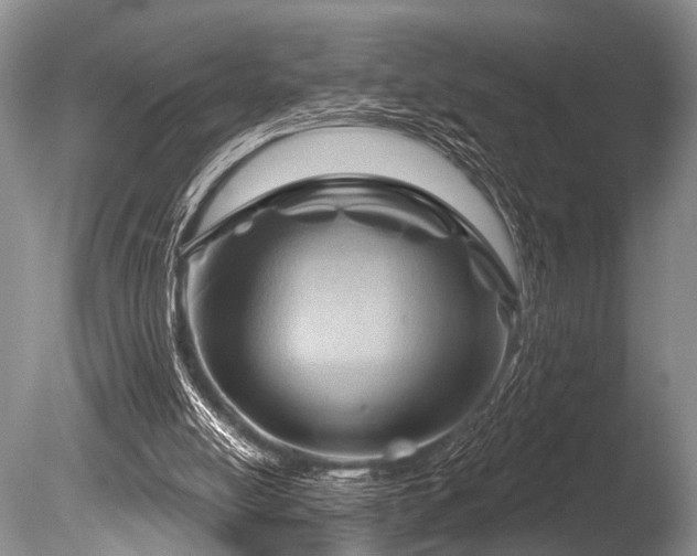 X0000086320054200703301229