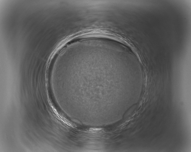 X0000086320055200703301229
