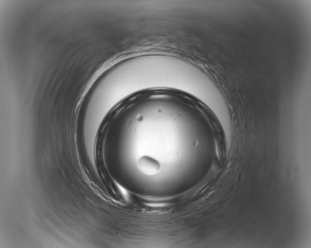 X0000086320056200703301229