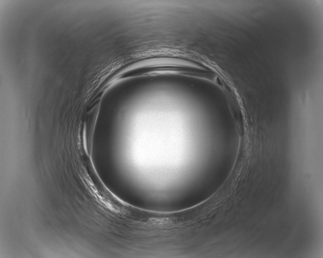 X0000086320057200703301229