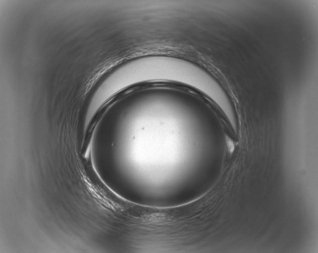 X0000086320058200703301229