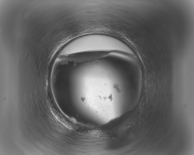 X0000086320059200703301229