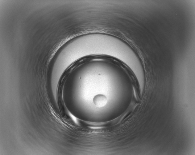 X0000086320060200703301229