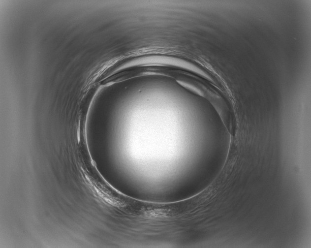 X0000086320062200703301229