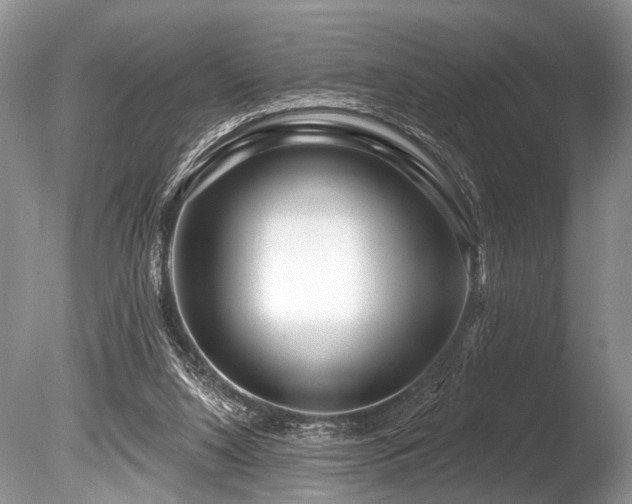 X0000086320064200703301229