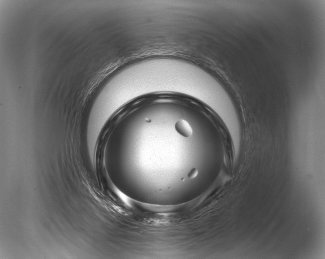 X0000086320068200703301229