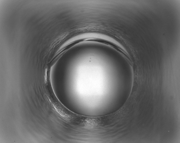 X0000086320070200703301229