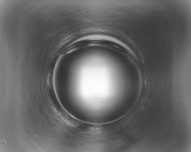 X0000086320071200703301229