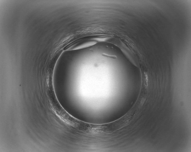 X0000086320072200703301229