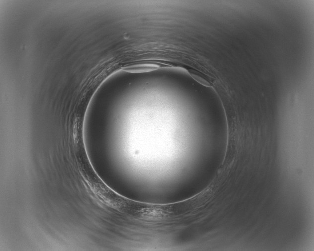 X0000086320074200703301229