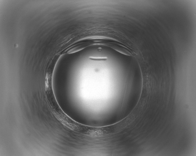 X0000086320075200703301229