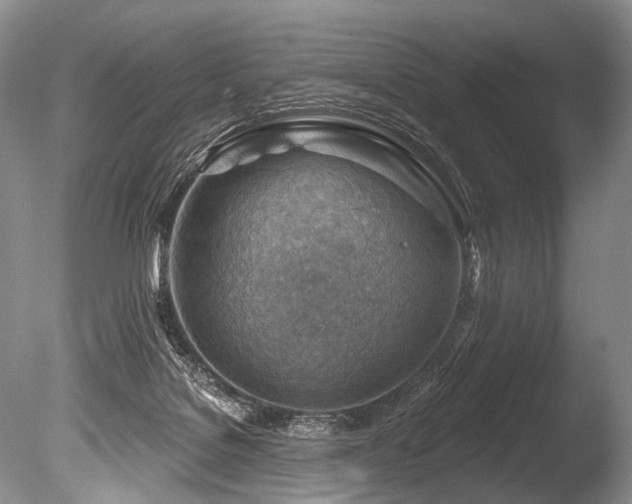 X0000086320076200703301229