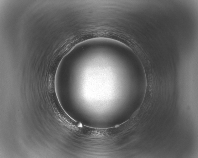 X0000086320077200703301229