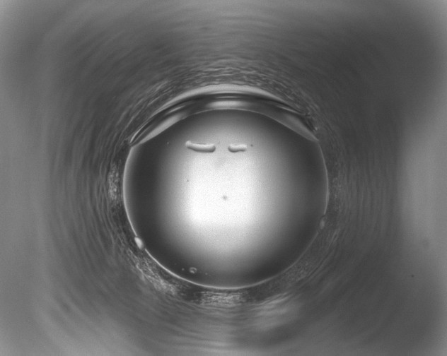 X0000086320081200703301229