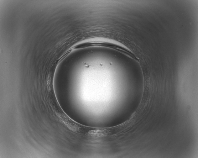 X0000086320082200703301229