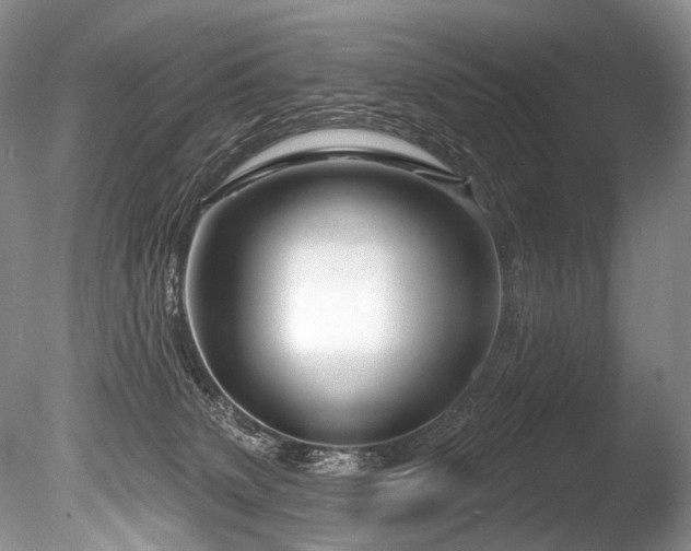 X0000086320083200703301229